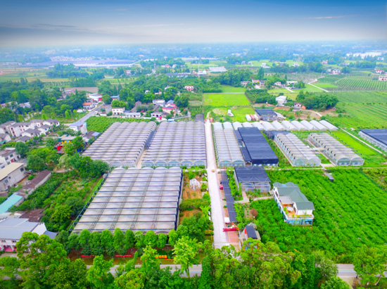 園區(qū)視頻安防公司：打造一體化全方位智能安全方案